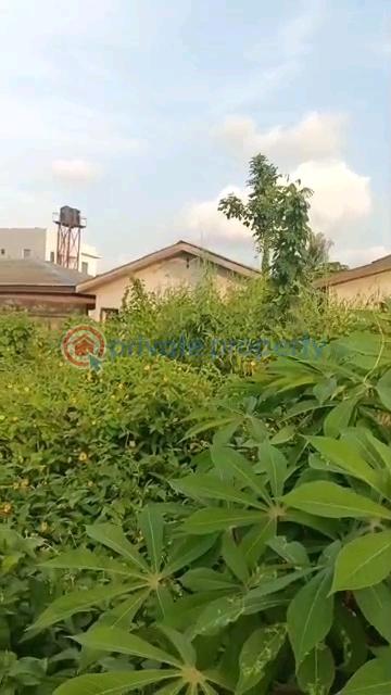 Full plot facing the tarred road - 7 Land For Sale Ait Lagos Alagbado Abule Egba Lagos - 7