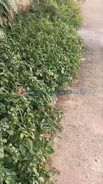 Full plot facing the tarred road - 16 Land For Sale Ait Lagos Alagbado Abule Egba Lagos - 16