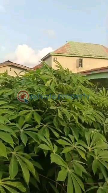Full plot facing the tarred road - 8 Land For Sale Ait Lagos Alagbado Abule Egba Lagos - 8