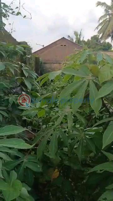 Full plot facing the tarred road - 6 Land For Sale Ait Lagos Alagbado Abule Egba Lagos - 6