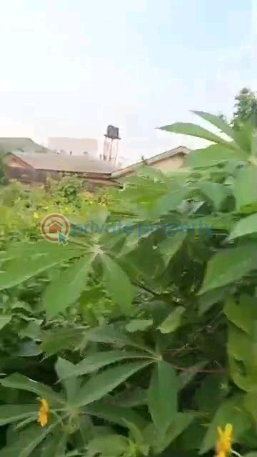Full plot facing the tarred road - 4 Land For Sale Ait Lagos Alagbado Abule Egba Lagos - 4