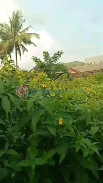 Full plot facing the tarred road - 12 Land For Sale Ait Lagos Alagbado Abule Egba Lagos - 12