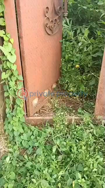 Full plot facing the tarred road - 0 Land For Sale Ait Lagos Alagbado Abule Egba Lagos - 0