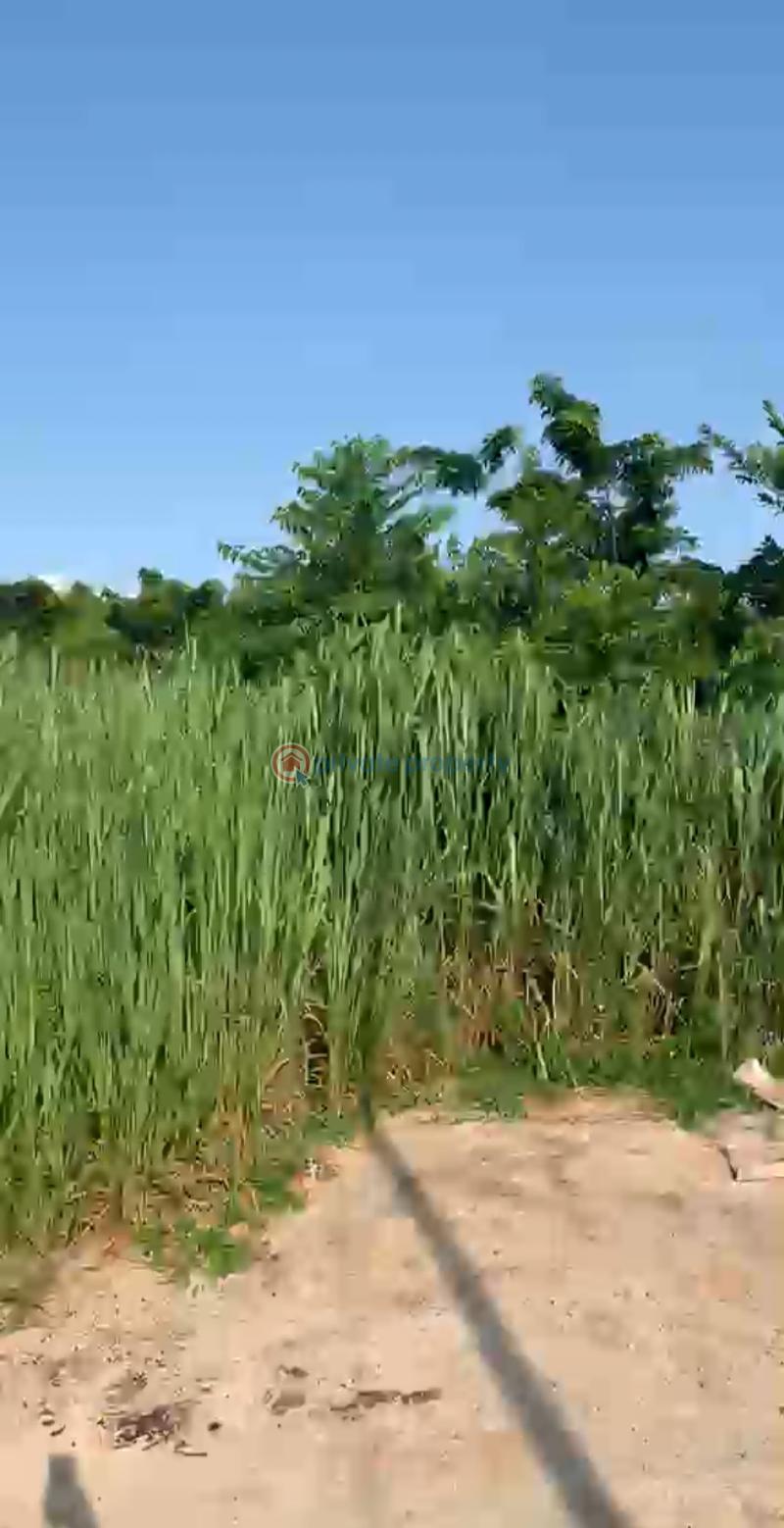 Residential Land For Sale Asese Obafemi Owode Ogun - 3