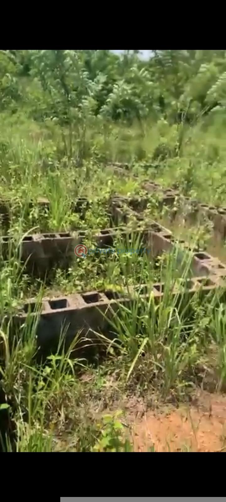 Land For Sale Asunle Very Close To D Main Road Off Akala Express Ibadan Oyo - 2