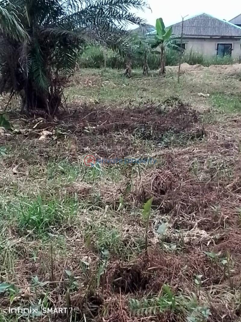 Residential Land For Sale Igando Ikotun/Igando Lagos - 1