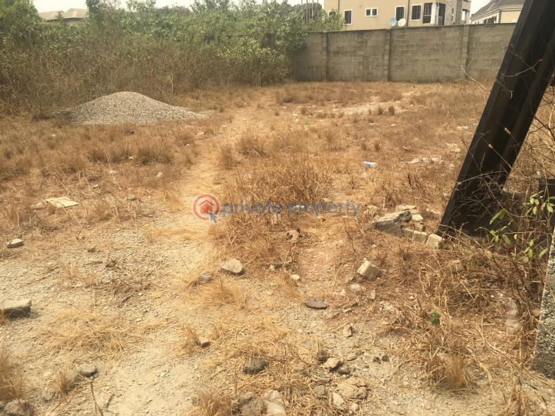 Residential Land For Sale Ibeshe Road Before Abuja Bus Stop Ibeshe Ikorodu Lagos - 1