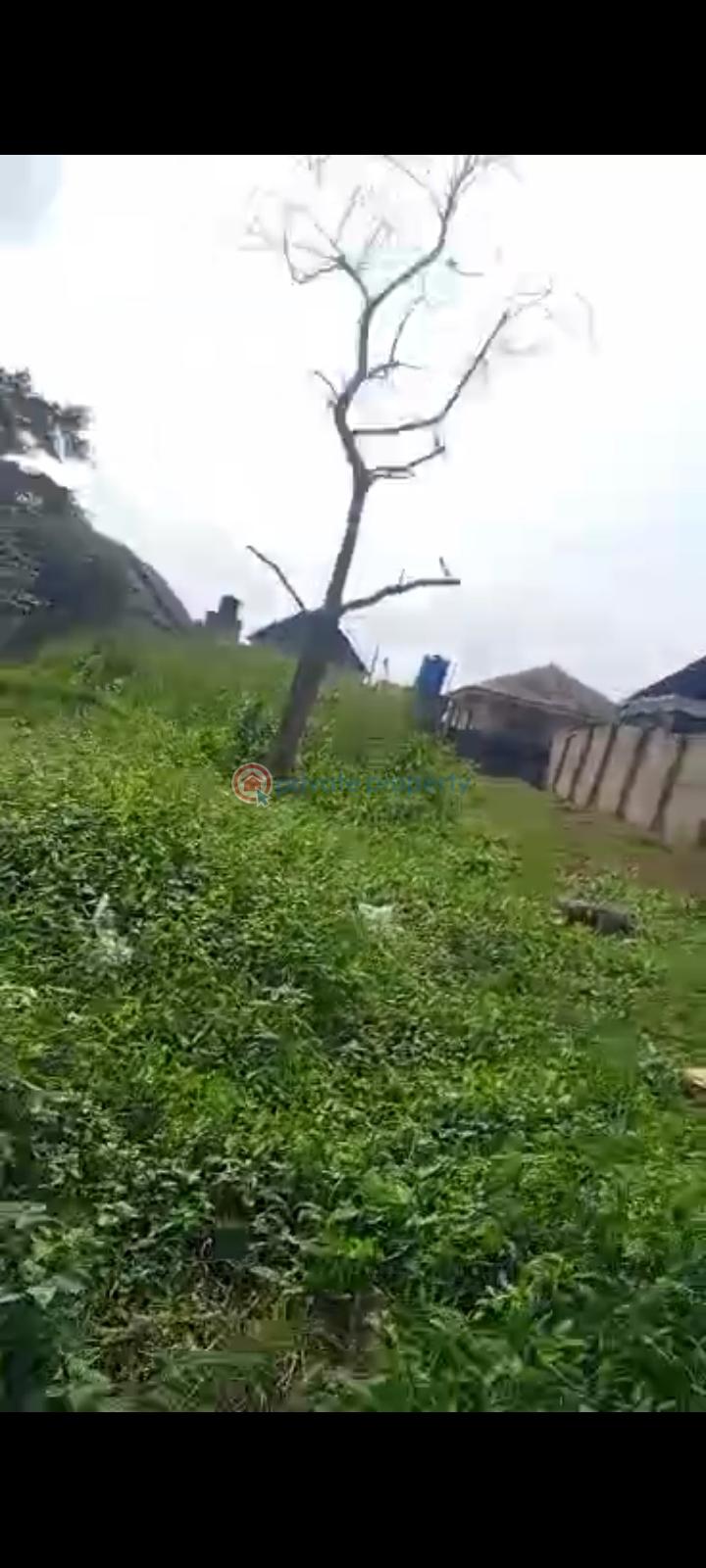 Residential Land For Sale Grammar School Awolowo Road Eruwen Ikorodu Lagos - 0