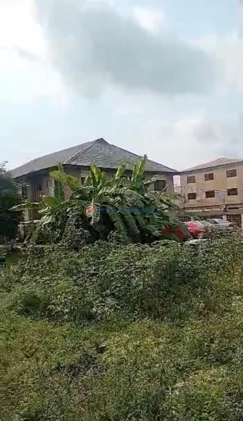 Residential Land For Sale Ago Palace Isolo Lagos - 0