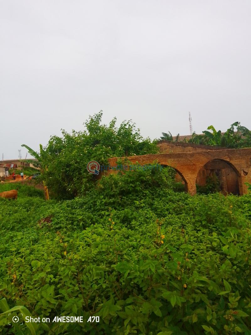 Mixed use Land For Sale @ajowa, Directly On A Major Road Off Abekoko Ifo Ogun - 2