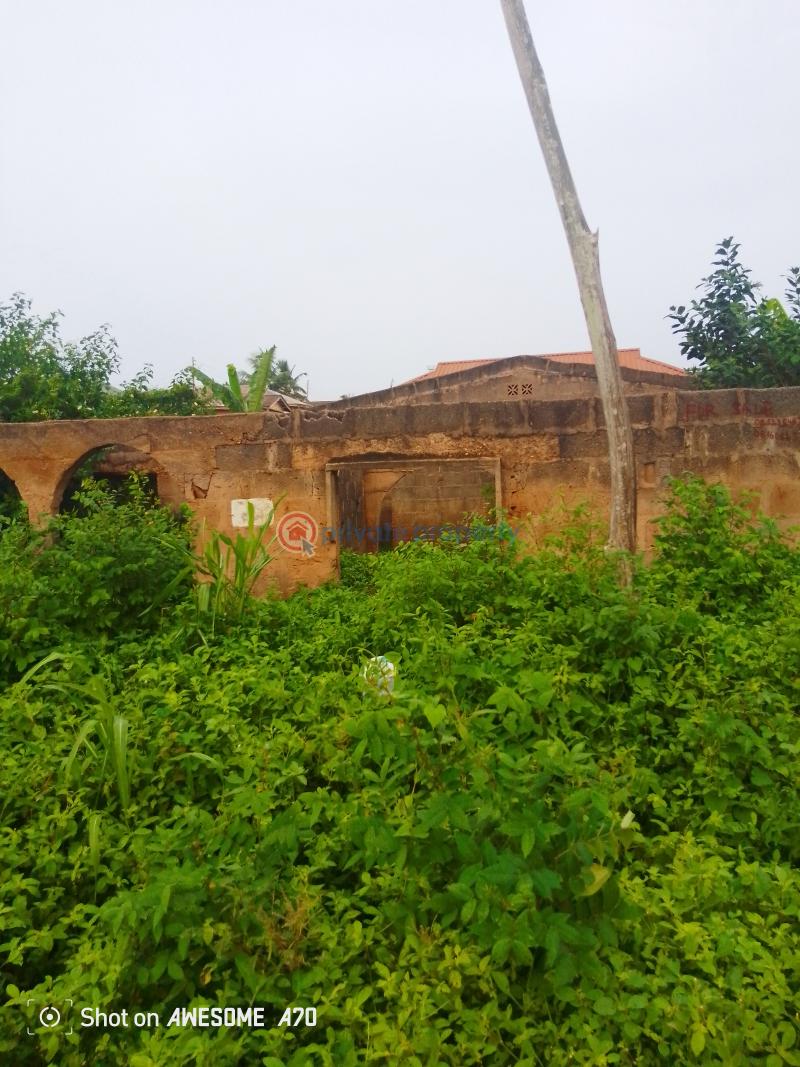Mixed use Land For Sale @ajowa, Directly On A Major Road Off Abekoko Ifo Ogun - 3