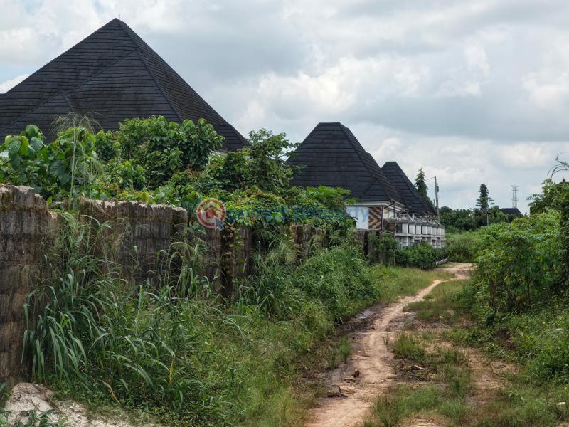 Residential Land For Sale Akanawu Estate Extension World Bank Owerri Owerri Imo - 13