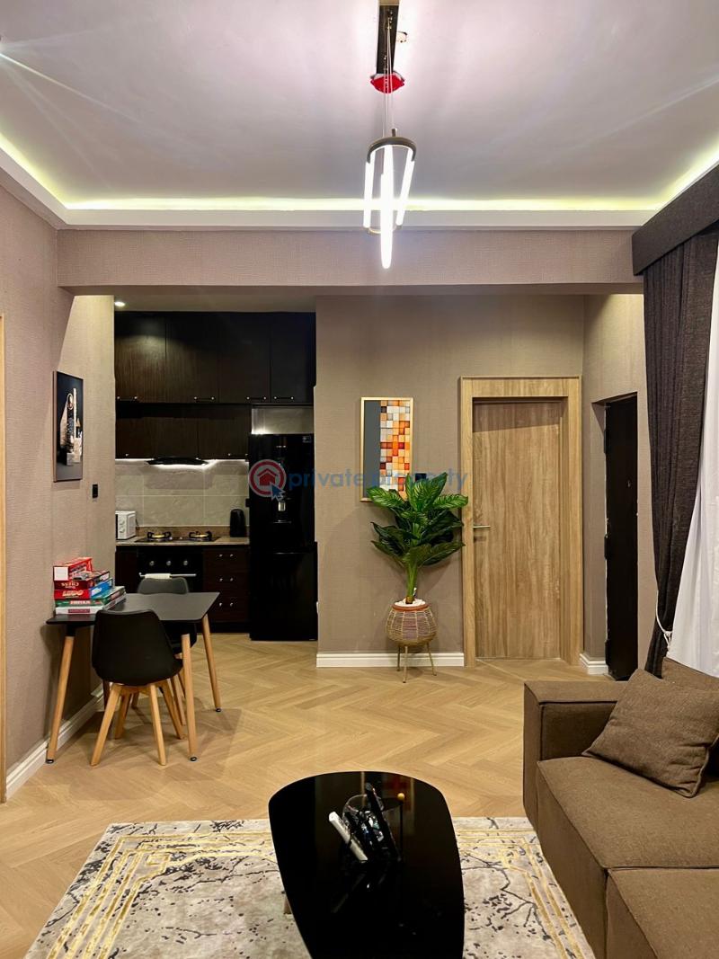 Fully furnished 1 bedroom apartment - 13 1 bedroom House For Sale Lekki Phase One Lagos Lekki Phase 1 Lagos - 13