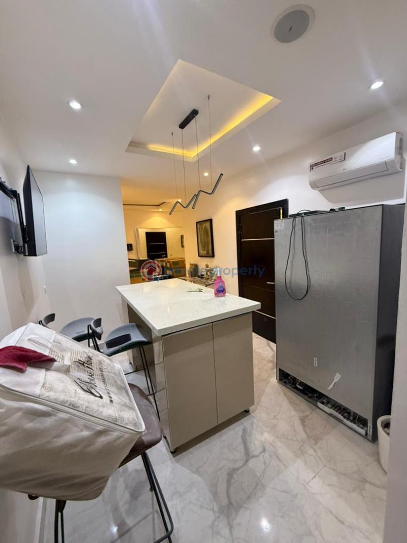 3 bedroom Shared Apartment For Rent Old Ikoyi Lagos - 13