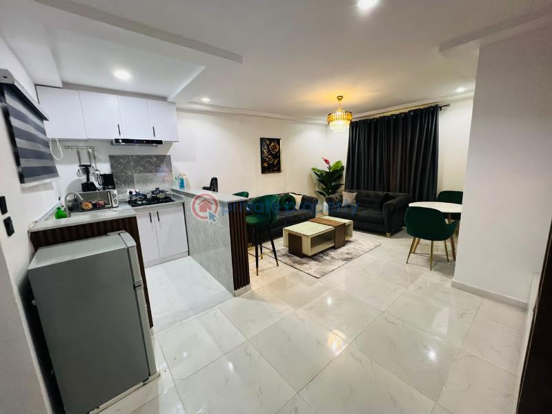 Fully furnished and service 2 bedroom flat with washing machine, fridge, inverter - 9 2 bedroom Block Of Flats For Rent Cyber Ville Estate Ikate Lekki Lekki Phase 1 Lagos - 9