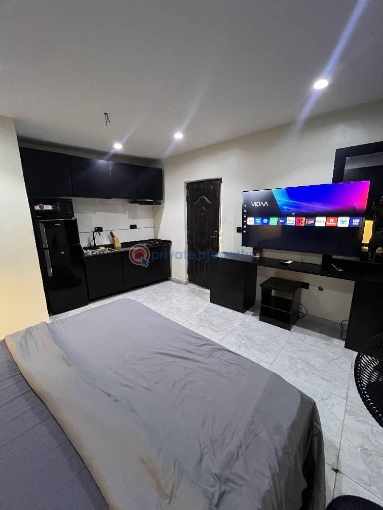 1 bedroom Shared Apartment For Rent Victoria Island Lagos - 7