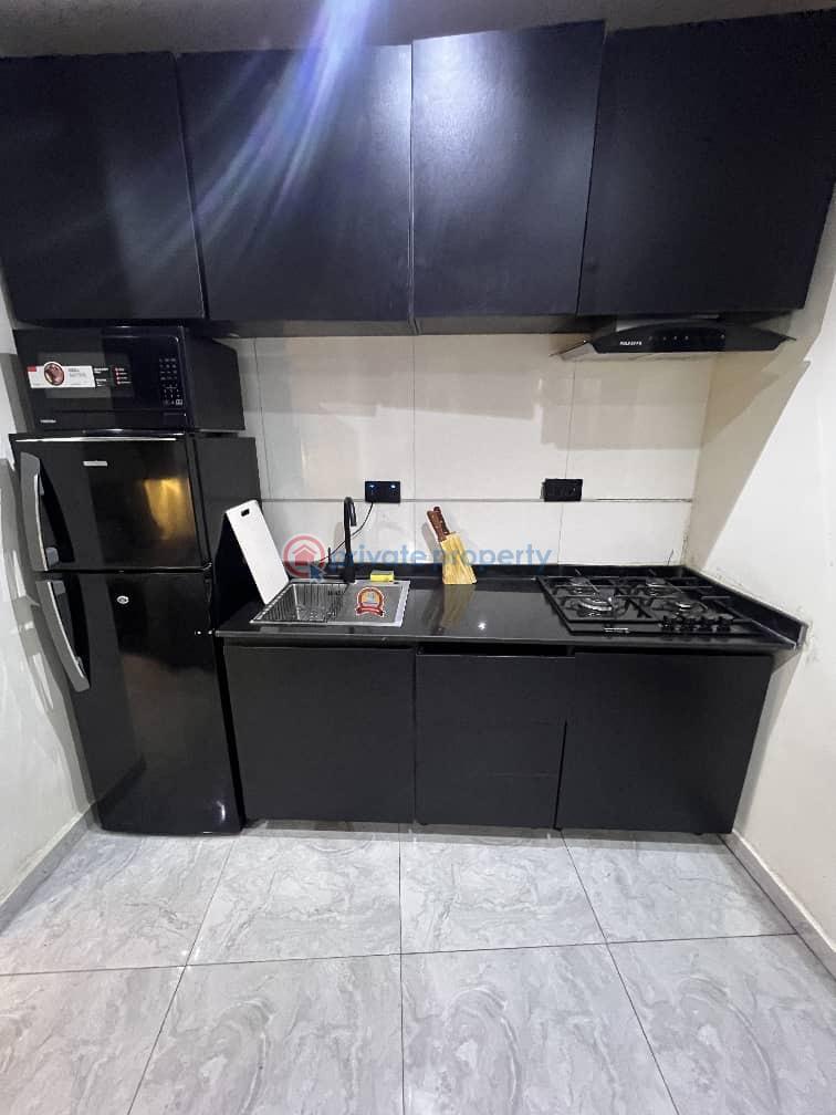 1 bedroom Shared Apartment For Rent Victoria Island Lagos - 3
