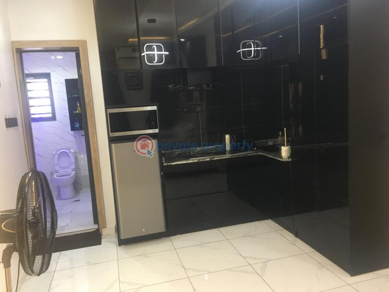 1 bedroom Studio Apartment Short let Off Oduduwa Crescent Ikeja GRA Lagos - 4