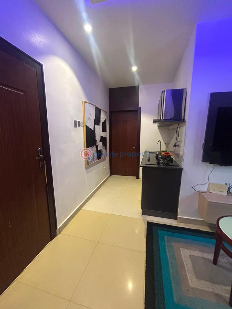 1 bedroom Flat & Apartment For Rent Lekki Phase 1 Lagos - 4