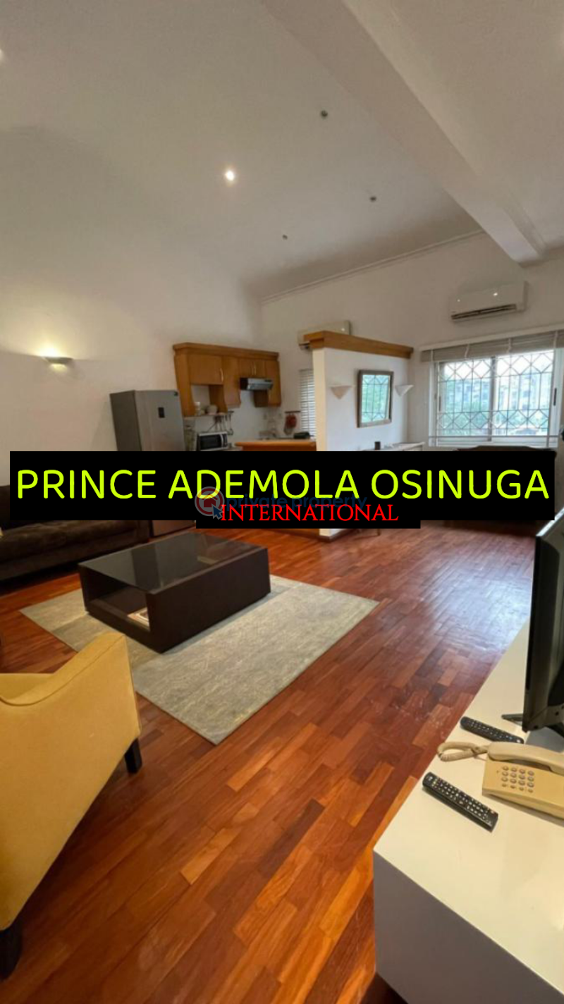 1 bedroom Flat & Apartment For Rent Old Ikoyi Lagos - 4
