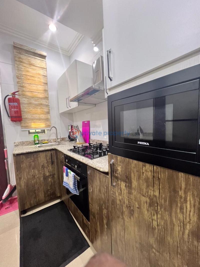 1 bedroom Mini Flat Short let Old Ikoyi Ikoyi Lagos - 4