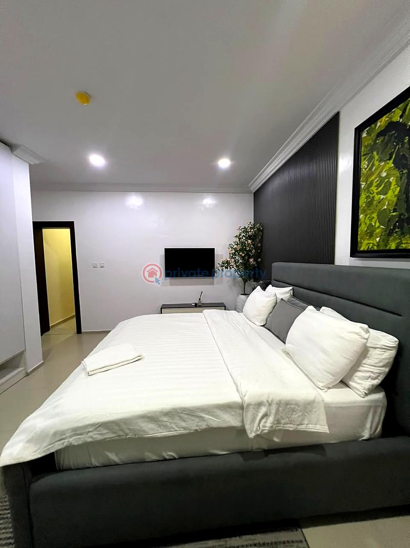 2 bedroom Flat & Apartment For Rent Ikoyi Lagos - 1