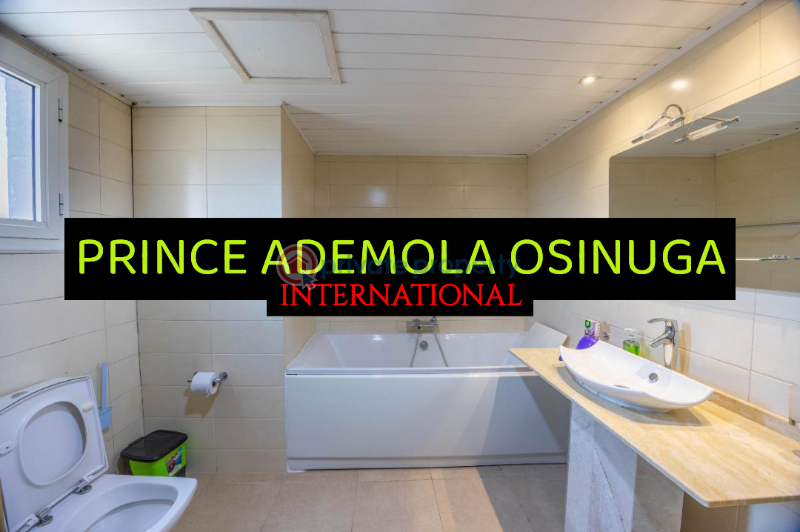3 bedroom Flat & Apartment For Rent Old Ikoyi Lagos - 4