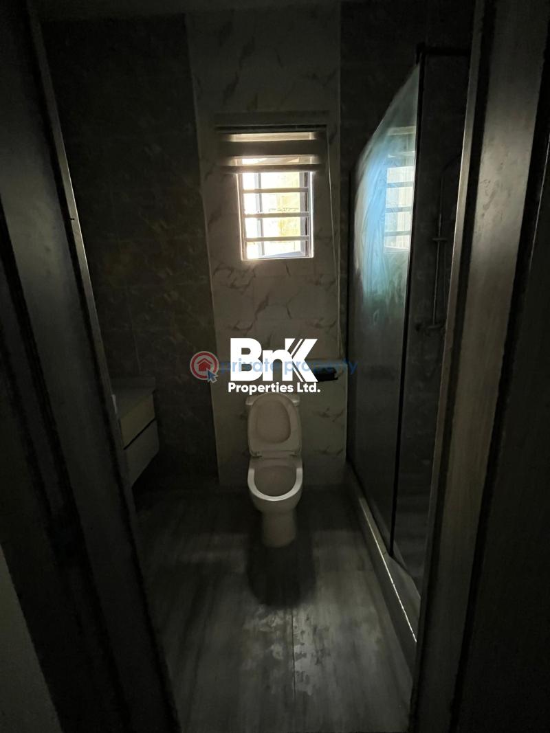 5 bedroom Semi detached Duplex For Rent Lekki Phase 1 Lagos - 24