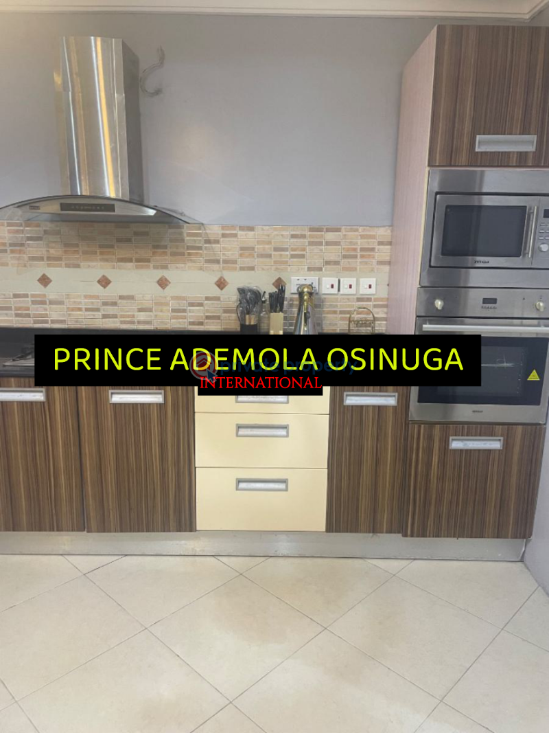 Furnished luxury 4 bedroom apartment +bq+pool gym etc - 10 4 bedroom Flat & Apartment For Rent Old Ikoyi Lagos - 10