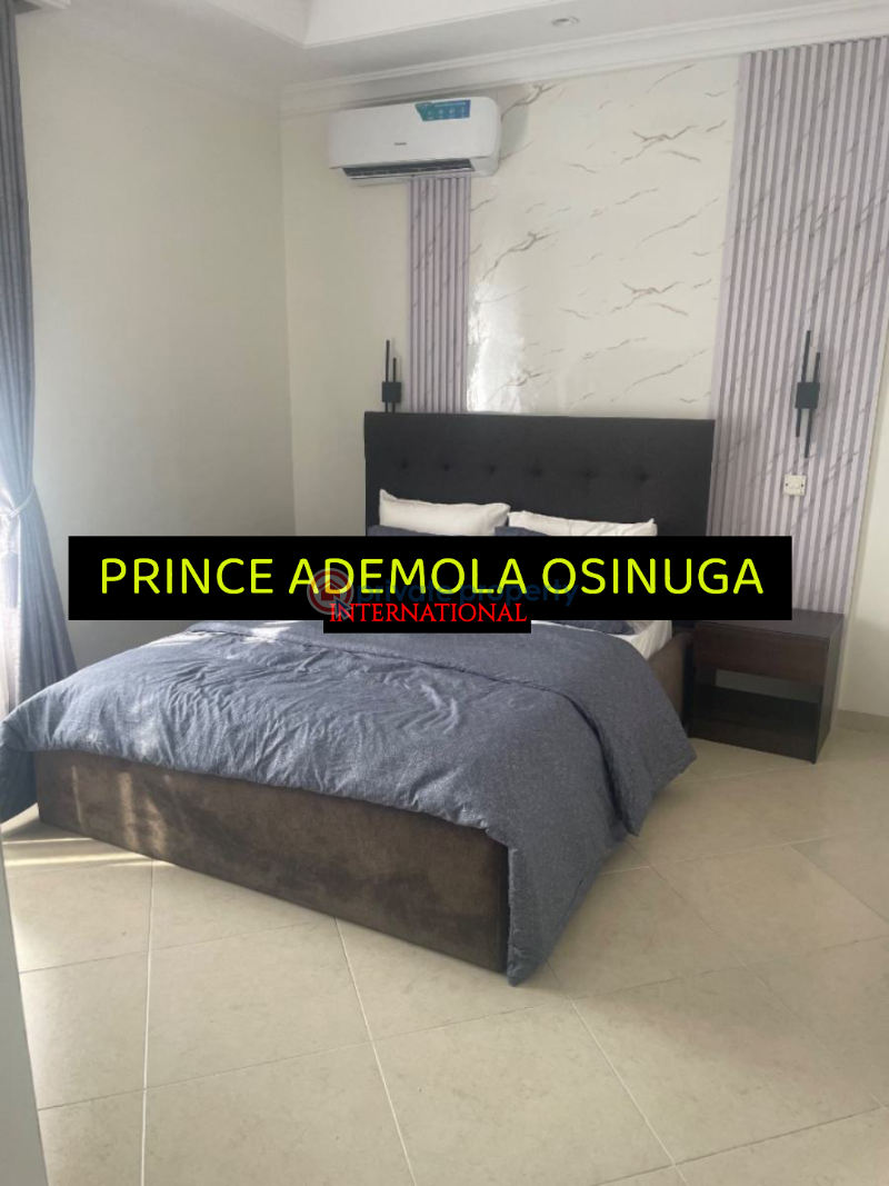 Furnished luxury 4 bedroom apartment +bq+pool gym etc - 5 4 bedroom Flat & Apartment For Rent Old Ikoyi Lagos - 5