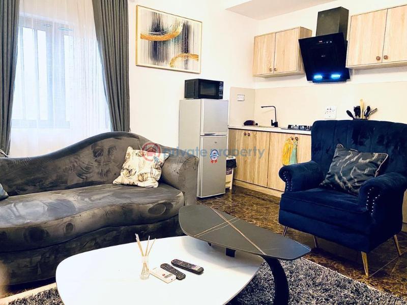 1 bedroom Mini Flat For Rent Lekki Phase 1 Lagos - 10