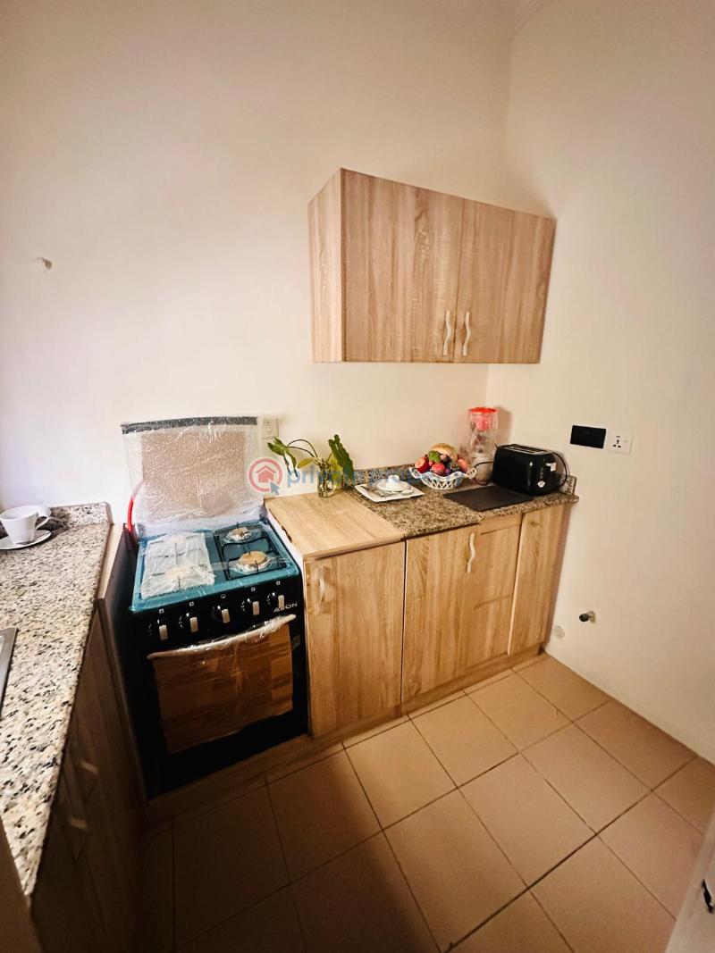 1 bedroom Mini Flat For Rent Ikoyi Lagos - 7