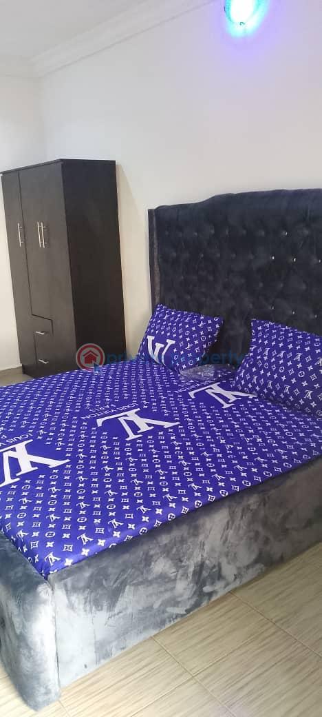 1 bedroom Studio Apartment For Rent Aptech Estate Sangotedo Ajah Lagos - 2