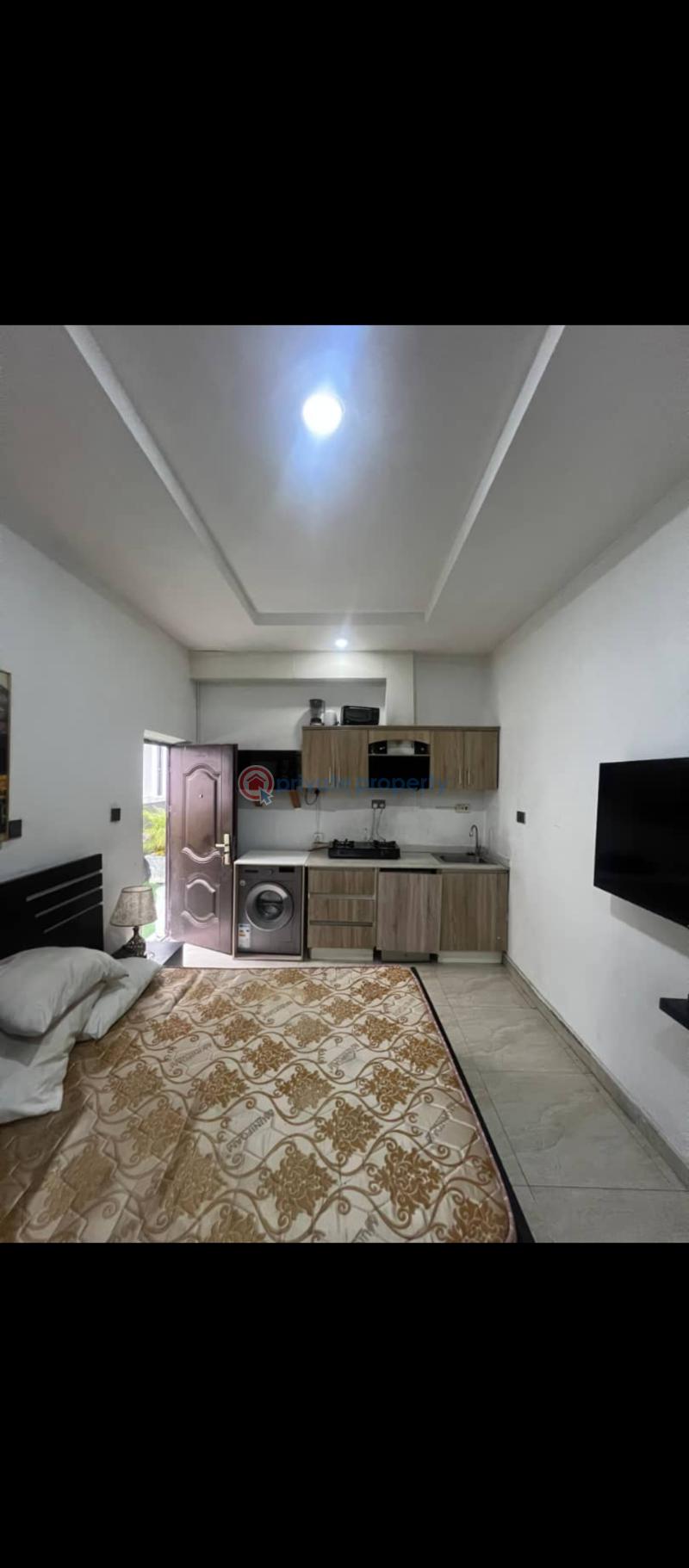 Furnished studio apartment - 1 1 bedroom Self Contain For Rent Chevron Drive Lekki Lagos - 1