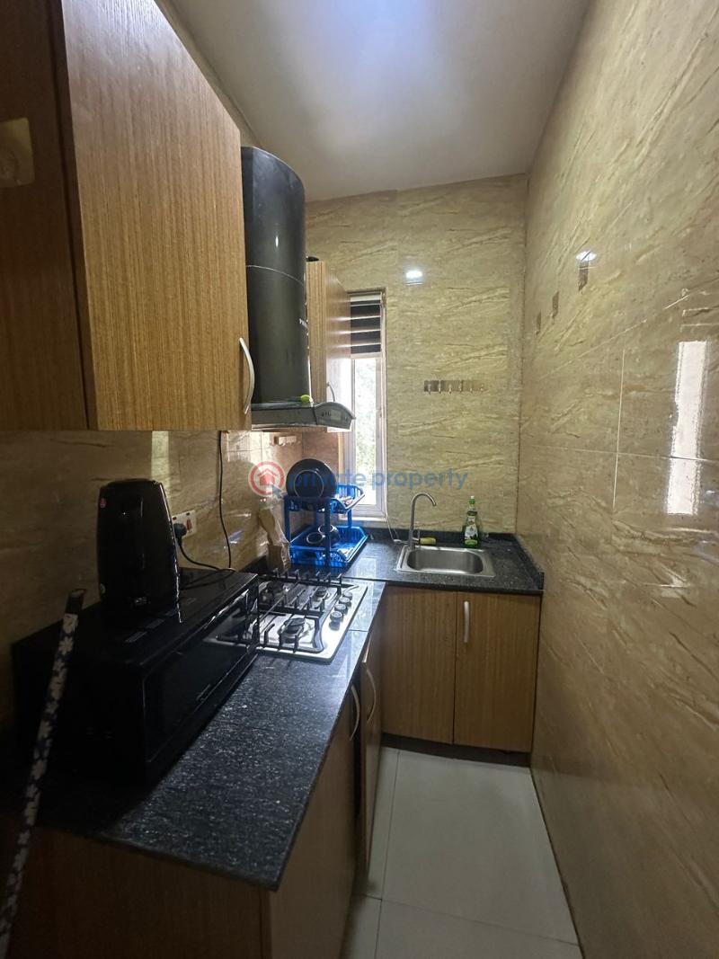 1 bedroom Shared Apartment For Rent Ikoyi Lagos - 5