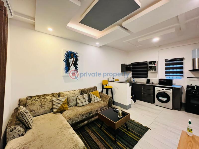 1 bedroom Mini Flat Short let 107cl, 1st Avenue Banana Island Ikoyi Lagos - 7