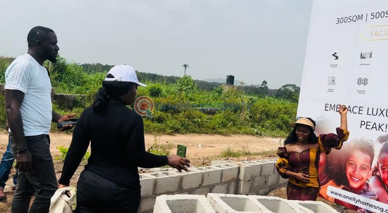 Residential Land For Sale Yaba Tech, Michael Otedola University, Augustine University. Epe Lagos - 3