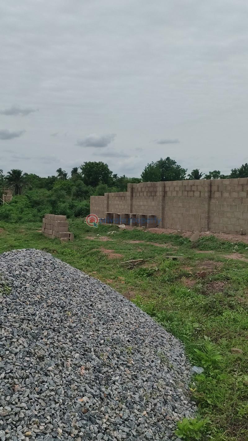 Mixed use Land For Sale 5 Minutes Drive Near Zion Ministry Ngor Okpala Ngor-Okpala Imo - 1