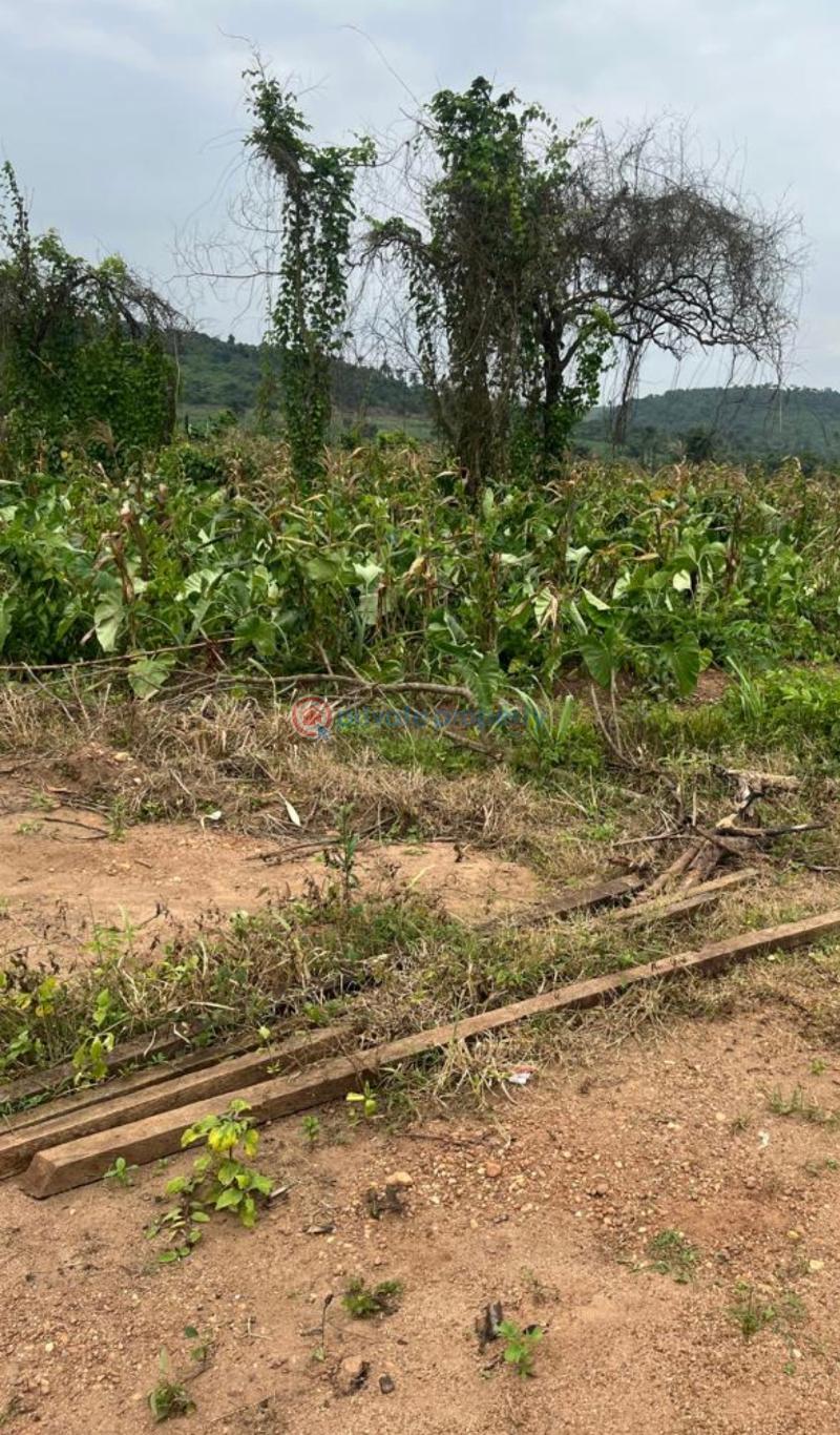 Mixed use Land For Sale Ogbor Hills, Along Opobo Azumuri Road Aba South Abia - 3