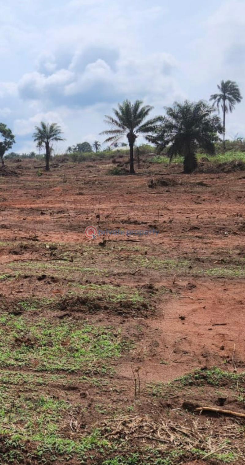 Mixed use Land For Sale Rosewood Estate Ughelli Agbara Otor Emevor Road, Warri Delta - 4