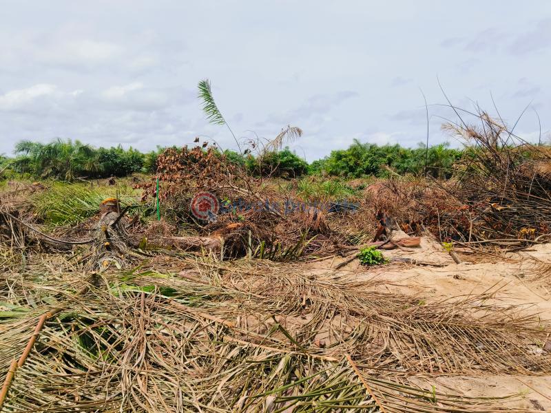 Mixed use Land For Sale Rosewood Estate Ughelli Agbara Otor Emevor Road, Warri Delta - 2