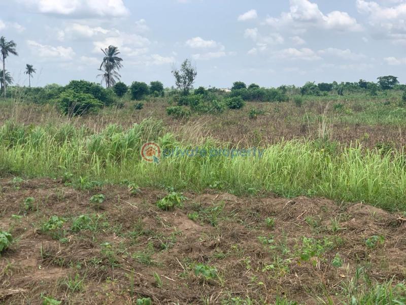 Mixed use Land For Sale Onyx City View Estate Kobape Abeokuta Express Road Abeokuta Ogun - 3