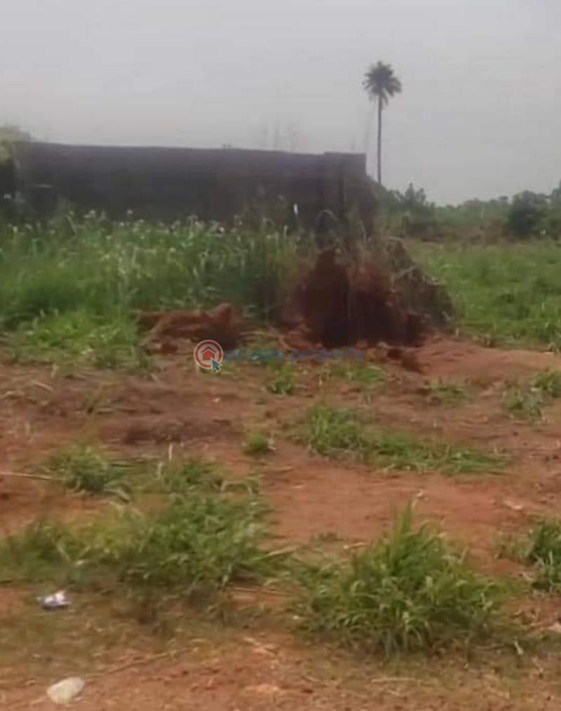Mixed use Land For Sale Ivy Gold Extension Idu Abuja Idu Railway Station Idu Abuja Phase 4  - 1