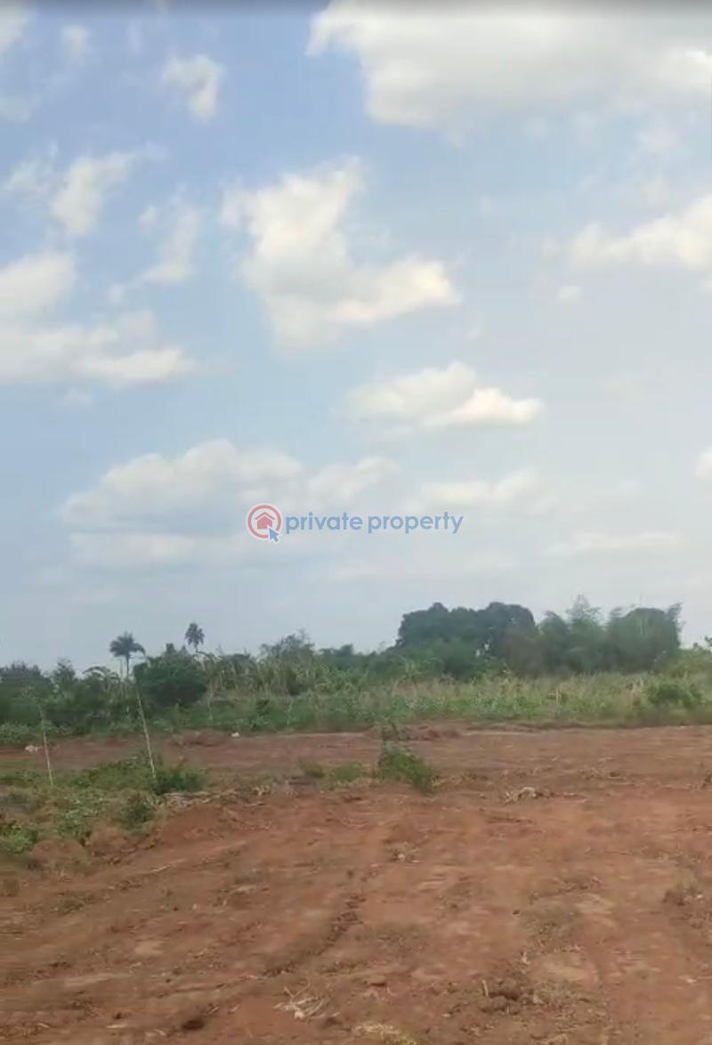 Mixed use Land For Sale Iheoma Estate Off Benin Asaba Express Onicha Ugbo Aniocha South Delta - 1
