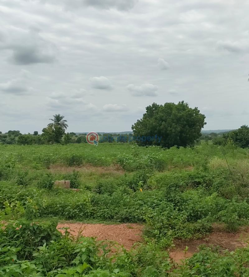 Mixed use Land For Sale Nearv Zion Ministry Church Ngor-Okpala Imo - 5