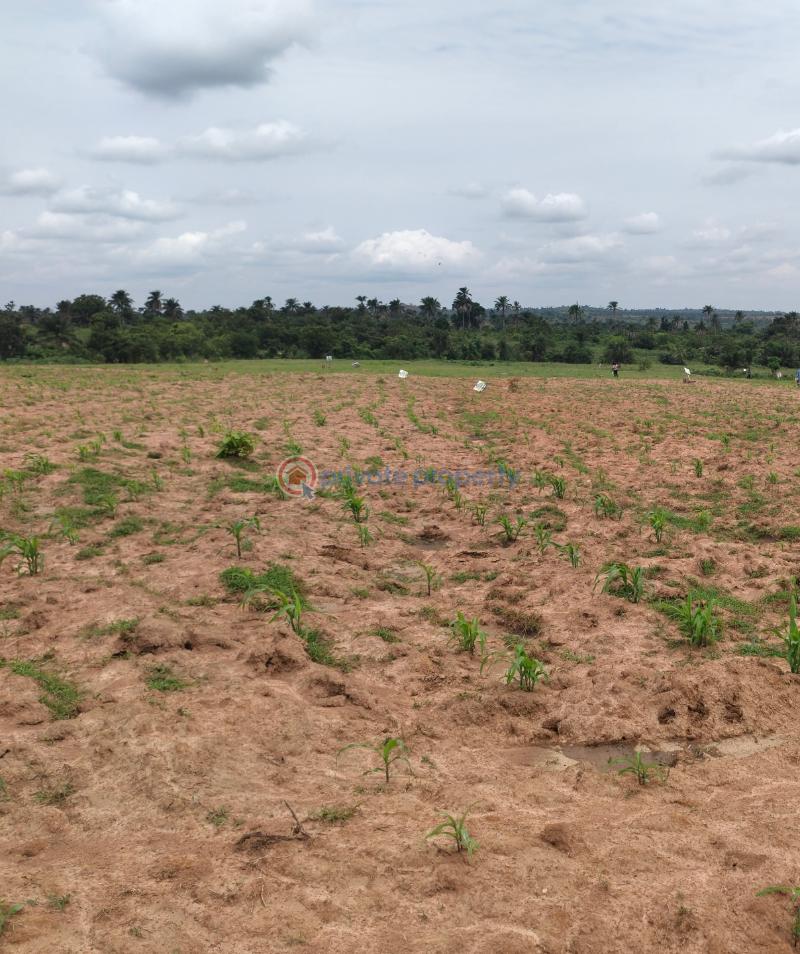 Mixed use Land For Sale Nearv Zion Ministry Church Ngor-Okpala Imo - 6