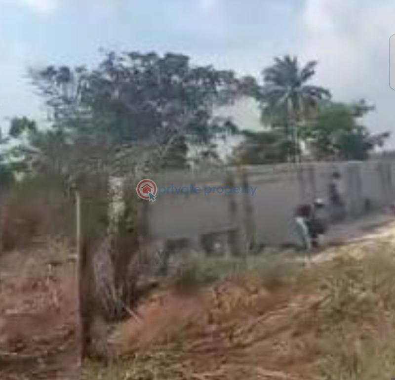 Land For Sale Okwu Ogbaku, Off Onitsha Owerri Express Road Ogbakwu Mbaitoli Imo - 5