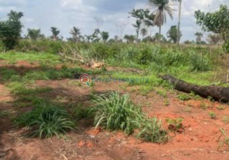 Land For Sale Okwu Ogbaku, Off Onitsha Owerri Express Road Ogbakwu Mbaitoli Imo - 7