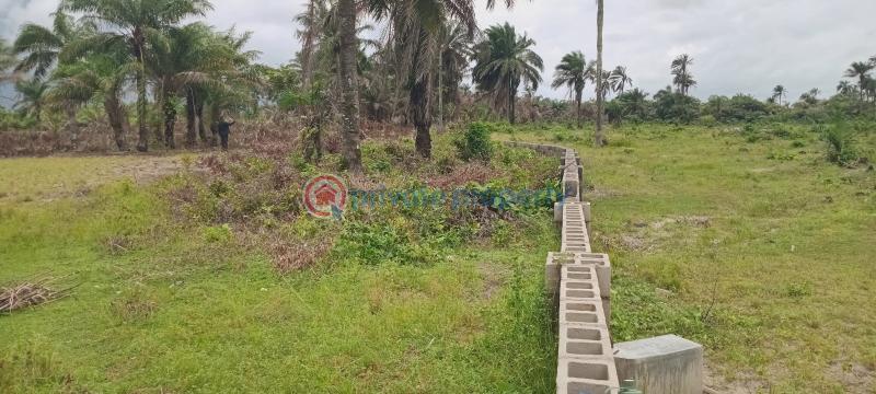 Mixed use Land For Sale Bethel Garden Extension 02, Folu Ise Akodo Ise Ibeju-Lekki Lagos - 1