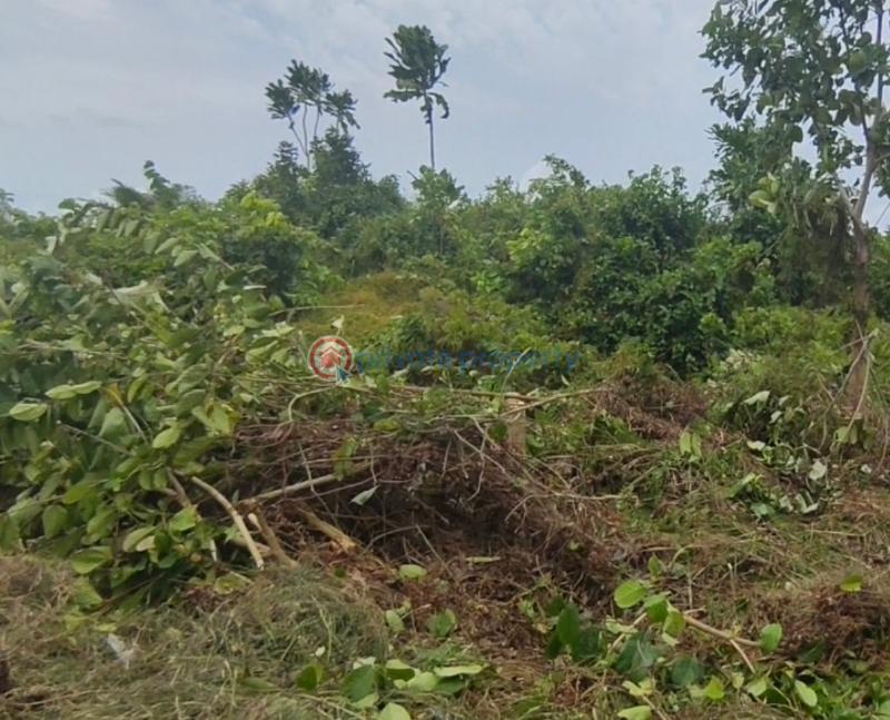 Mixed use Land For Sale Obosima Near Afor Obogwe And Oforola 🗺️ Owerri Imo - 4